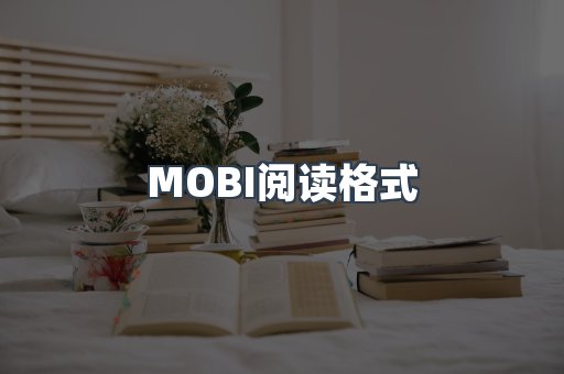 EPUB电子书